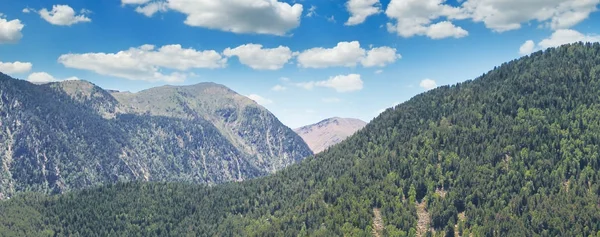 숲의 전망과 여름 햇빛에 산의 슬로프 — 스톡 사진