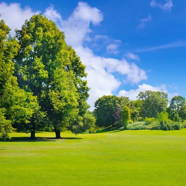 Park, yeşil çayır ve mavi gökyüzü.