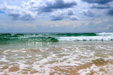 Sandy beach. Şiddetli yağmur ve tropikal st ile dramatik cennet