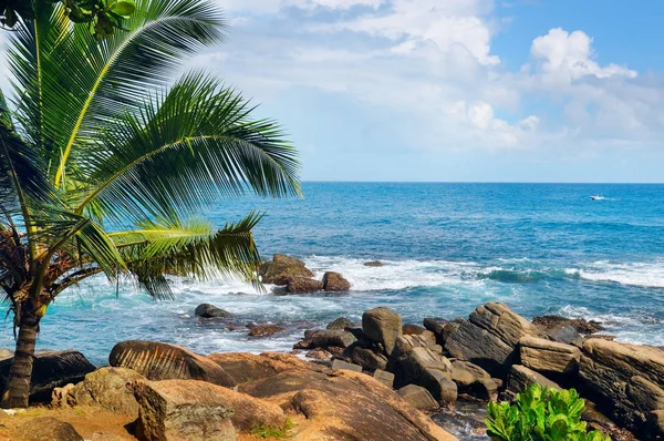 Stranden tropiska havet med palmer och lagunen — Stockfoto