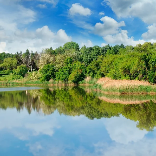 美しい湖、空や銀行の夏の森. — ストック写真