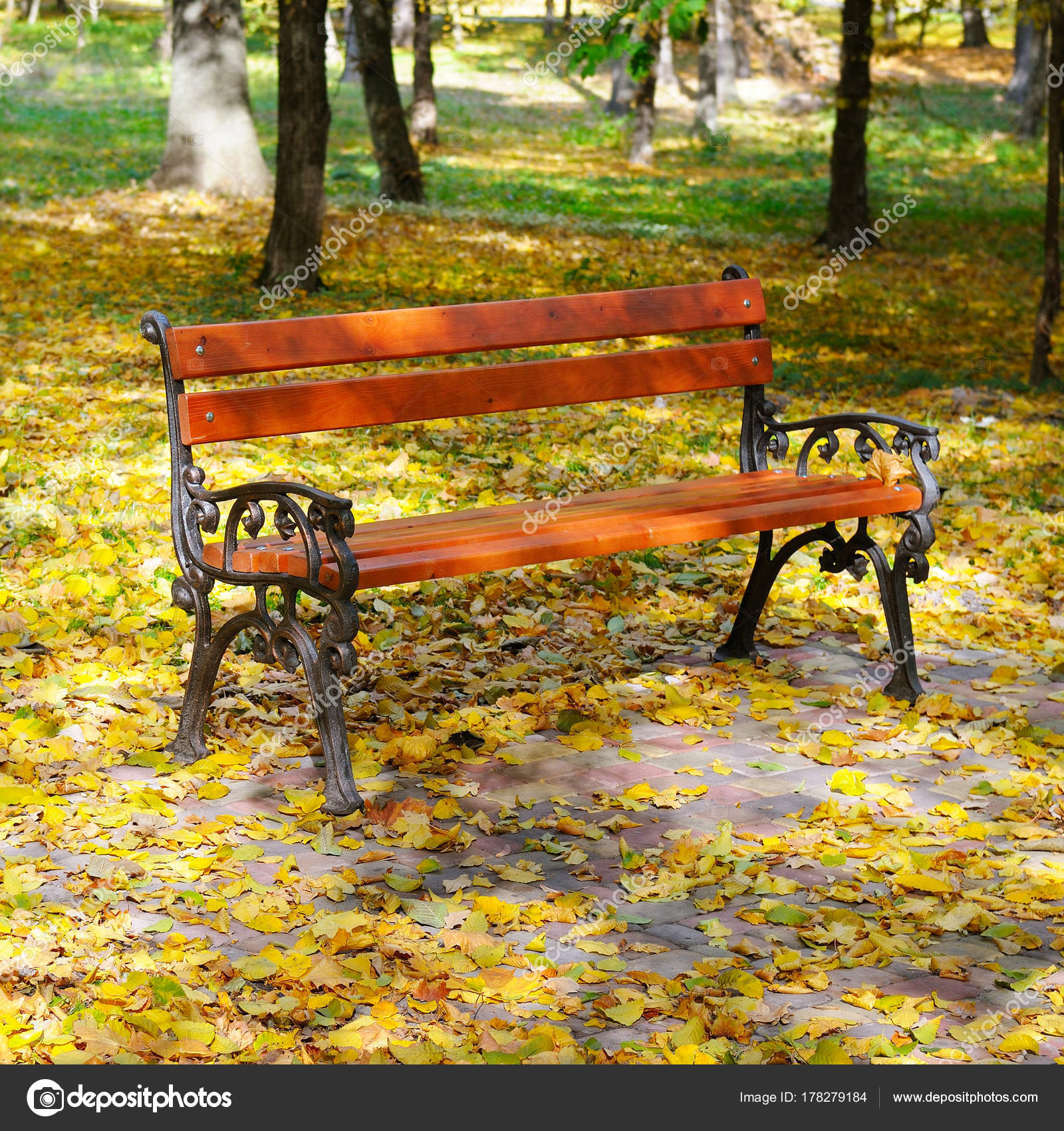 Beautiful Autumn Park And Benche Stock Photo