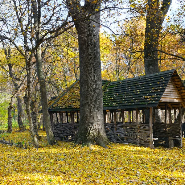 Shelter in beautiful autumn forest.