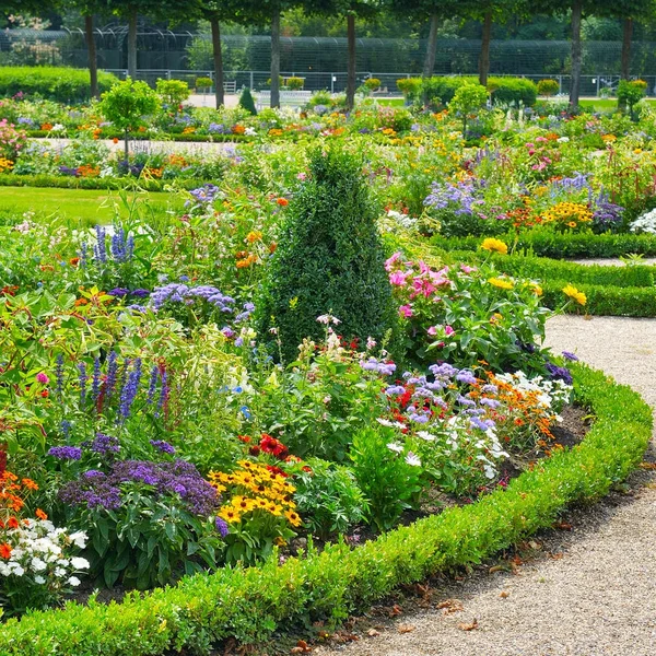 Exuberantes Macizos Flores Jardín Verano Día Soleado Brillante —  Fotos de Stock