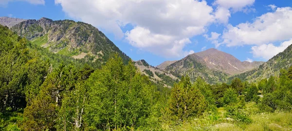 美しい山の風景、草原、ハイキング トレイル、おしゃれ — ストック写真