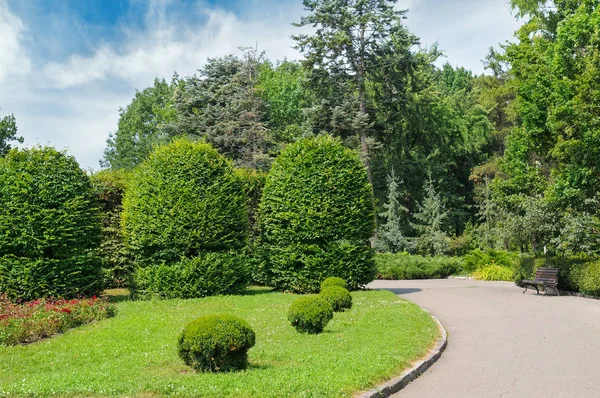 Letní Park Živý Plot Zelené Louky Modrá Obloha Jasného Slunečného — Stock fotografie