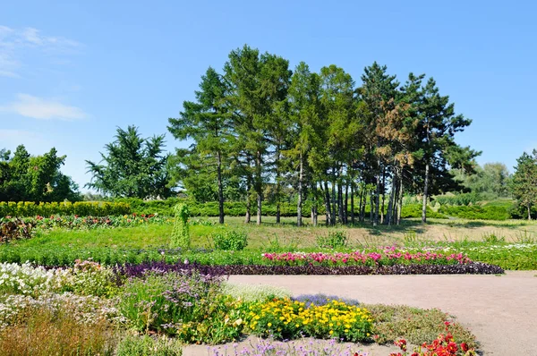 Parque de verano con hermosos macizos de flores . — Foto de Stock