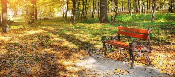 Gyönyörű őszi park utak és a pad. Széles fénykép. — Stock Fotó