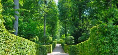 Hedges ve sokakları ile yaz park. Yürüyüş için rahat bahçe. Geniş fotoğraf.