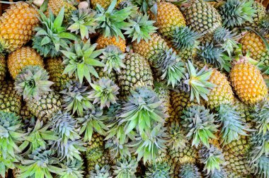 Taze sulu ananas parlak arka plan. Sri Lanka