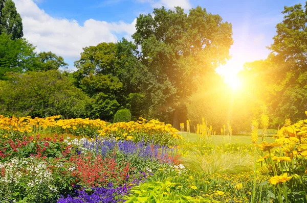 夏公园与美丽的花圃和太阳 — 图库照片