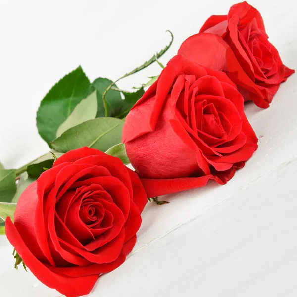 Красиві червоні троянди на білому дерев'яному фоні . — стокове фото