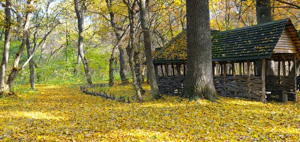 Shelter in the beautiful autumn forest. A bright sunny day. Wide photo.