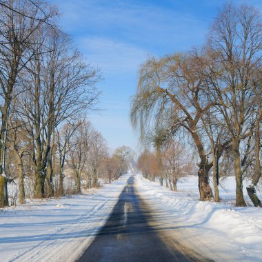 Kış yol karlı alanları ve ağaçlar. Tarım peyzaj.