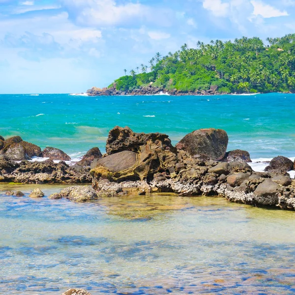 サンゴとヤシの木とビーチ熱帯海 — ストック写真