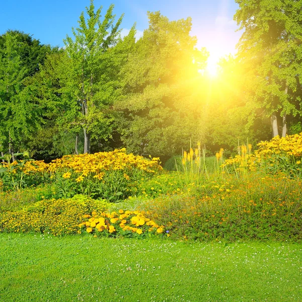 Парк Красивыми Клумбами Солнцем Весна Пейзаж — стоковое фото