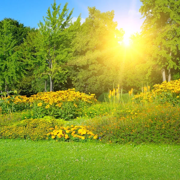 Parque Con Hermosos Parterres Sol Paisaje Primavera — Foto de Stock