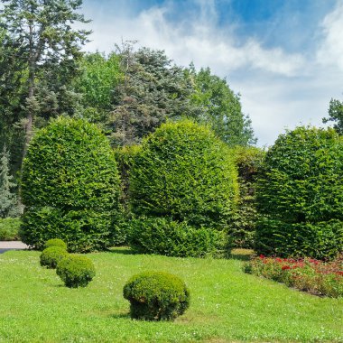 Yaz park, çit, yeşil çayır ve mavi gökyüzü. Parlak güneşli bir günde.