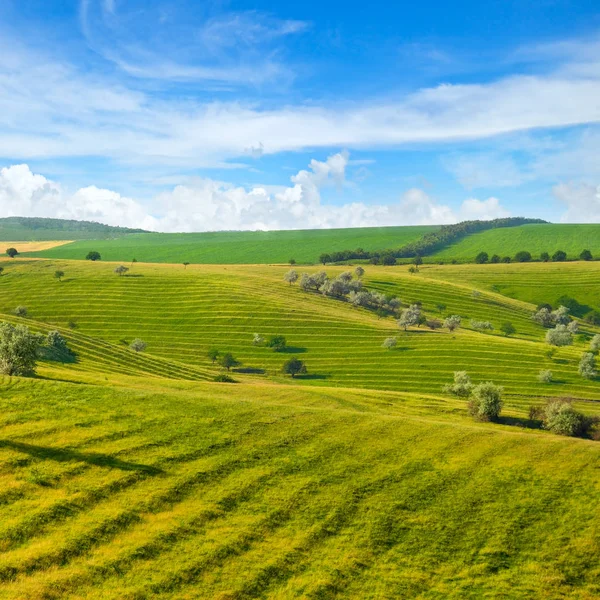 Groene weide en blauwe hemel. Schilderachtige heuvels gevormd door een oude riv — Stockfoto