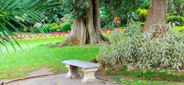 美丽的热带公园 有树木和鲜花 在一个隐蔽的地方 有一块石凳供休息 宽幅照片 — 图库照片