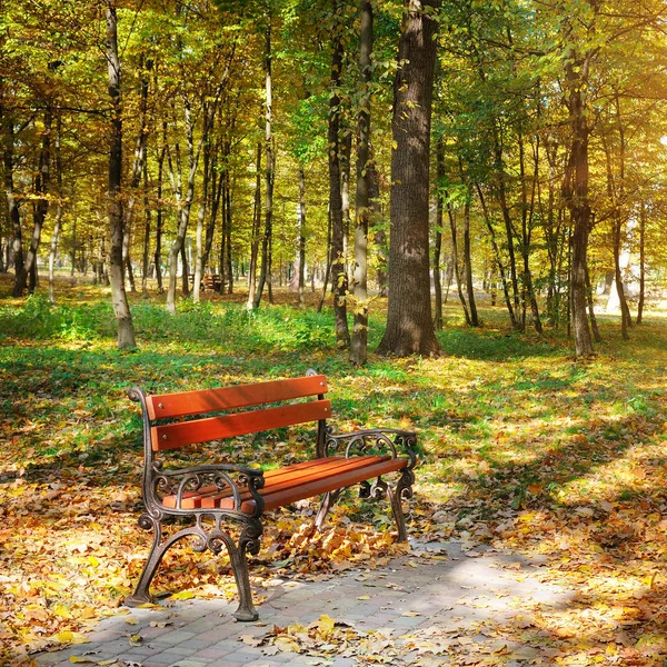 Beautiful autumn park with paths and benches. — Stock Photo, Image