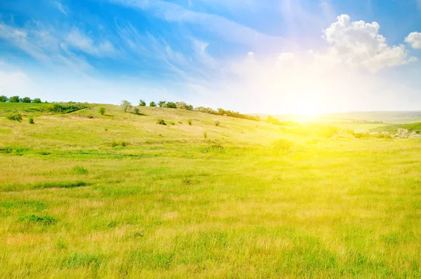 Champs Verdoyants Lever Soleil Sur Ciel Bleu Paysage Agricole — Photo