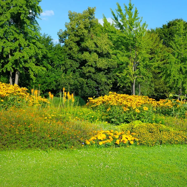 Summer park with beautiful flower beds. — Stock Photo, Image