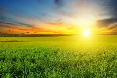 Yeşil alan ve hafif bulutlu mavi gökyüzü. Ufuk