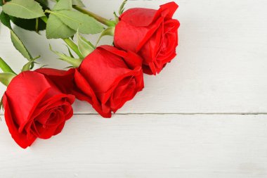 Beyaz ahşap zemin üzerinde güzel kırmızı gül. Düz yatıyordu, top 