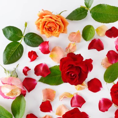 Beyaz ahşap zemin üzerinde kırmızı gül. Düz yatıyordu, en iyi görünümü.