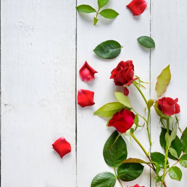Çiçek kompozisyon. Beyaz ahşap zemin üzerinde kırmızı gül. FLA