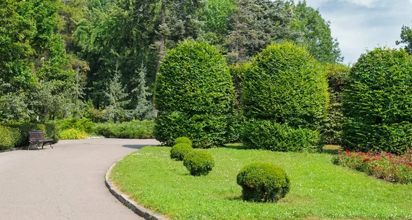 Park, çit, yeşil çayır ve mavi gökyüzü. Parlak güneşli bir günde. — Stok fotoğraf