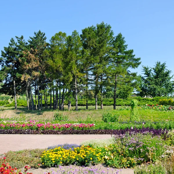 Summer park with beautiful flower beds. — Stock Photo, Image