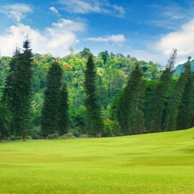 Yaz park, çit, yeşil çayır ve mavi gökyüzü.