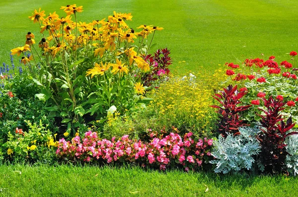 Summer flower bed and green lawn. — Stock Photo, Image