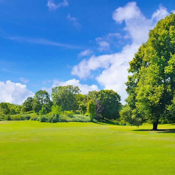 Park, grüne Wiese und blauer Himmel. — Stockfoto