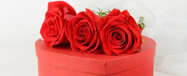 Caja de regalo en forma de corazón y rosas escarlata en madera blanca . —  Fotos de Stock
