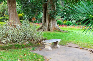 Güzel tropikal park ve dinlenmek için taş tezgah.
