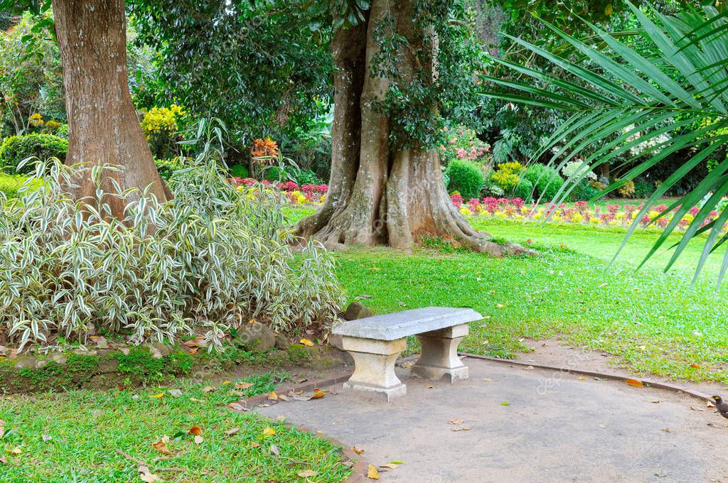 Parque tropical y Banco de piedra para el descanso — Foto de stock