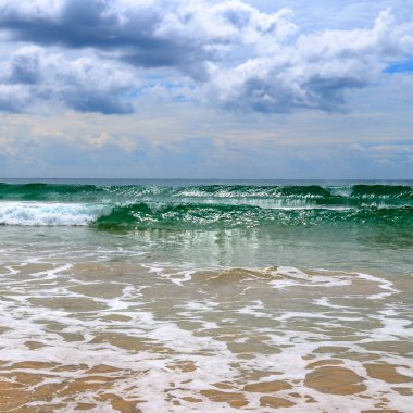 Sandy beach. Şiddetli yağmur ve tropikal st ile dramatik cennet