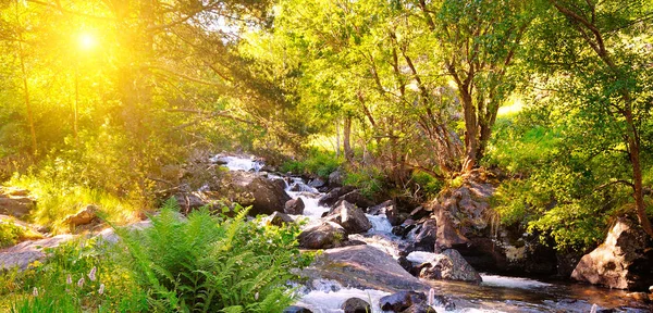 Mountain river, forest and bright sunrise. Wide photo. — Stock Photo, Image