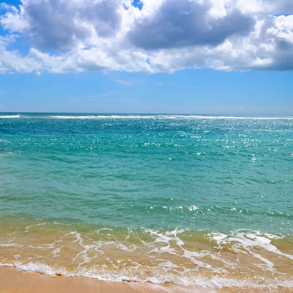 Playa de arena abandonada del Océano Índico. En el cielo azul cumulu —  Fotos de Stock