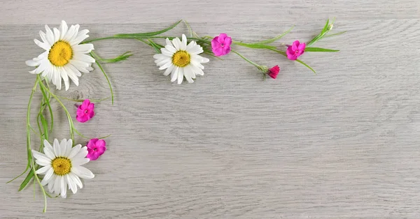 꽃 구성입니다. Chamomiles의 꽃의 프레임을 만든는 — 스톡 사진
