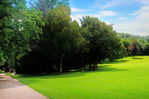 Sommerpark, grüne Wiese und blauer Himmel. — Stockfoto