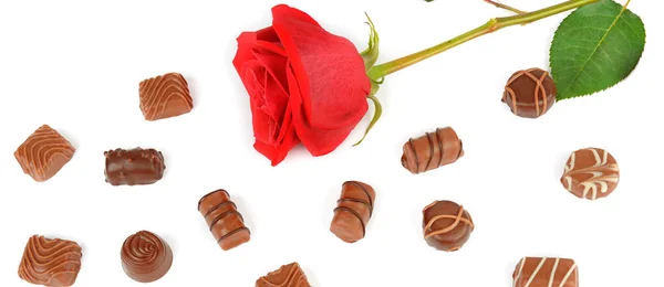 Assortimento di cioccolatini e rosa rossa isolati su backgrou bianco — Foto Stock