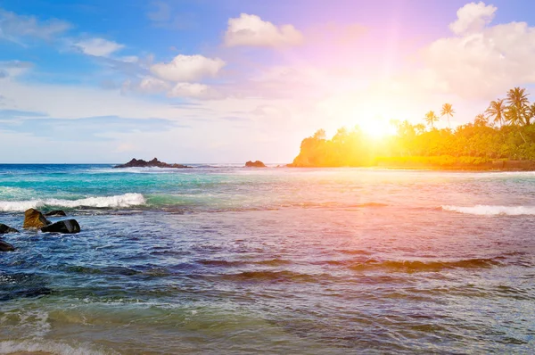岩だらけの島の海の風景と日の出 ビーチ スリランカ — ストック写真