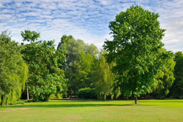 Sommergarten mit schönem grünen Rasen. — Stockfoto