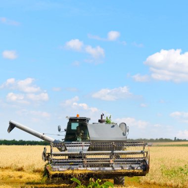 Hasat makine alanında çalışan .