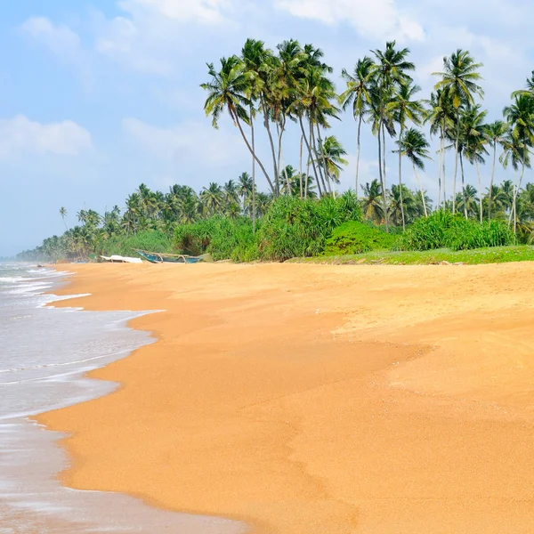Prachtig strand en tropische zee met palmbomen. — Stockfoto
