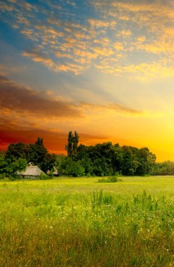 Green field, sunrise and blue sky.